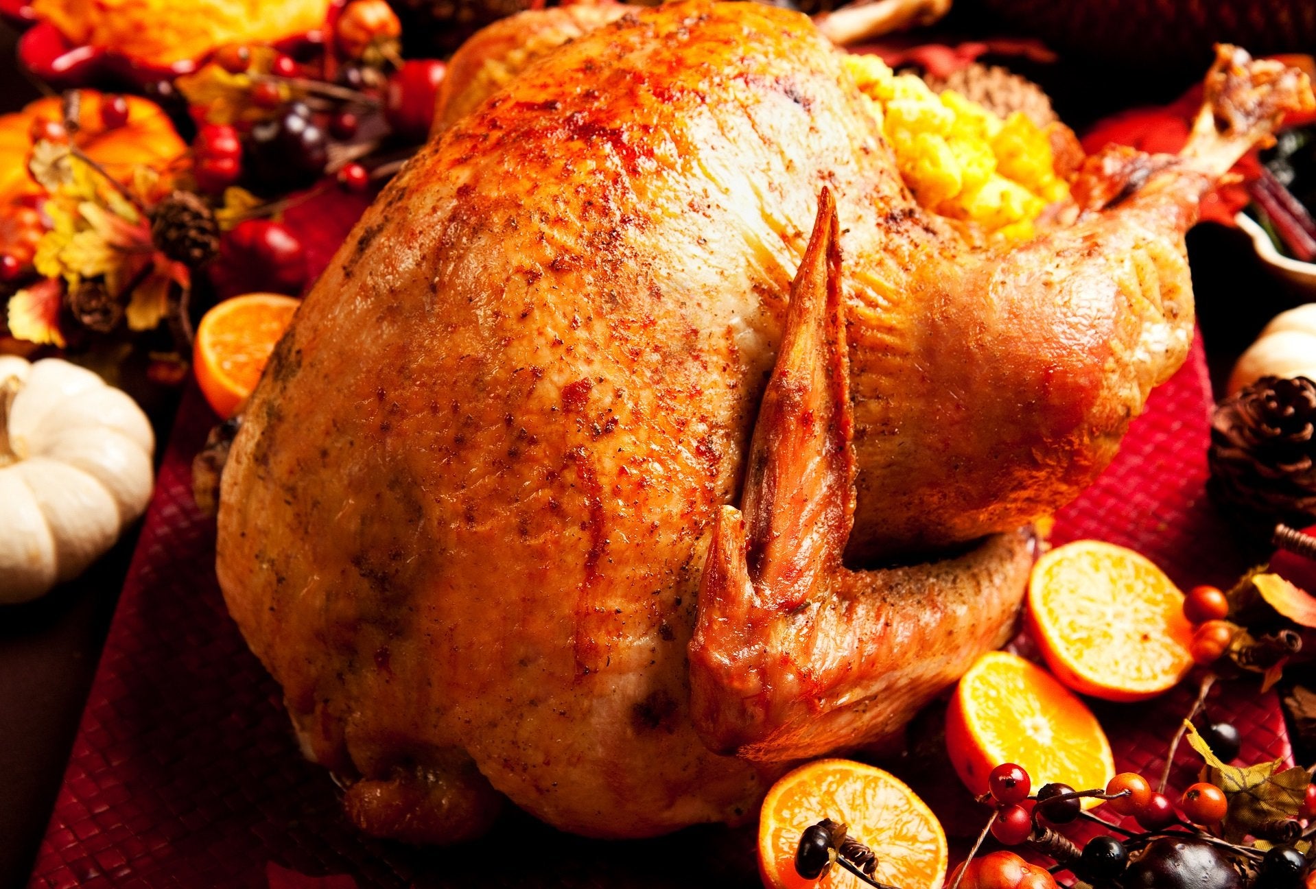Turkey Barn Reared, High Welfare